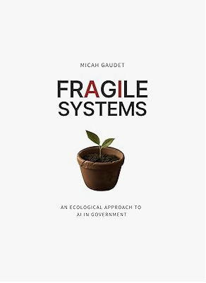 Fragile Systems: An Ecological Approach to AI in Government book cover